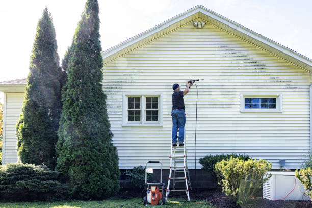 Best Rust Removal  in Preston Heights, IL